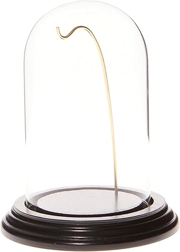 Miniatura 5 de Plymor Cúpula de cristal para reloj de 3 x 5 pulgadas (base de chapa de nogal y alambre plateado)