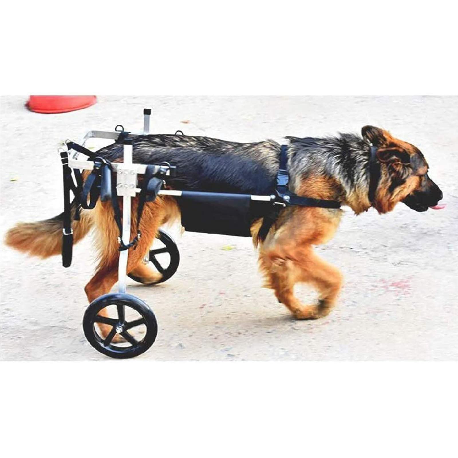 Silla de ruedas para pasear perros con patas traseras lesionadas y devolverles la felicidad