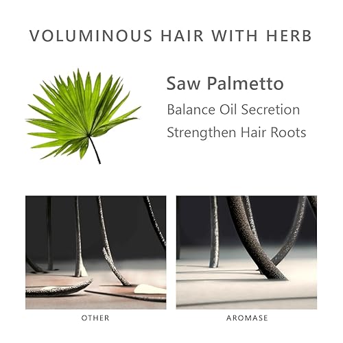 Miniatura 2 de Aromase Champú voluminizador para el cabello, champú clarificante, aumenta el volumen del cabello, equilibra el aceite del cuero cabelludo, alivia