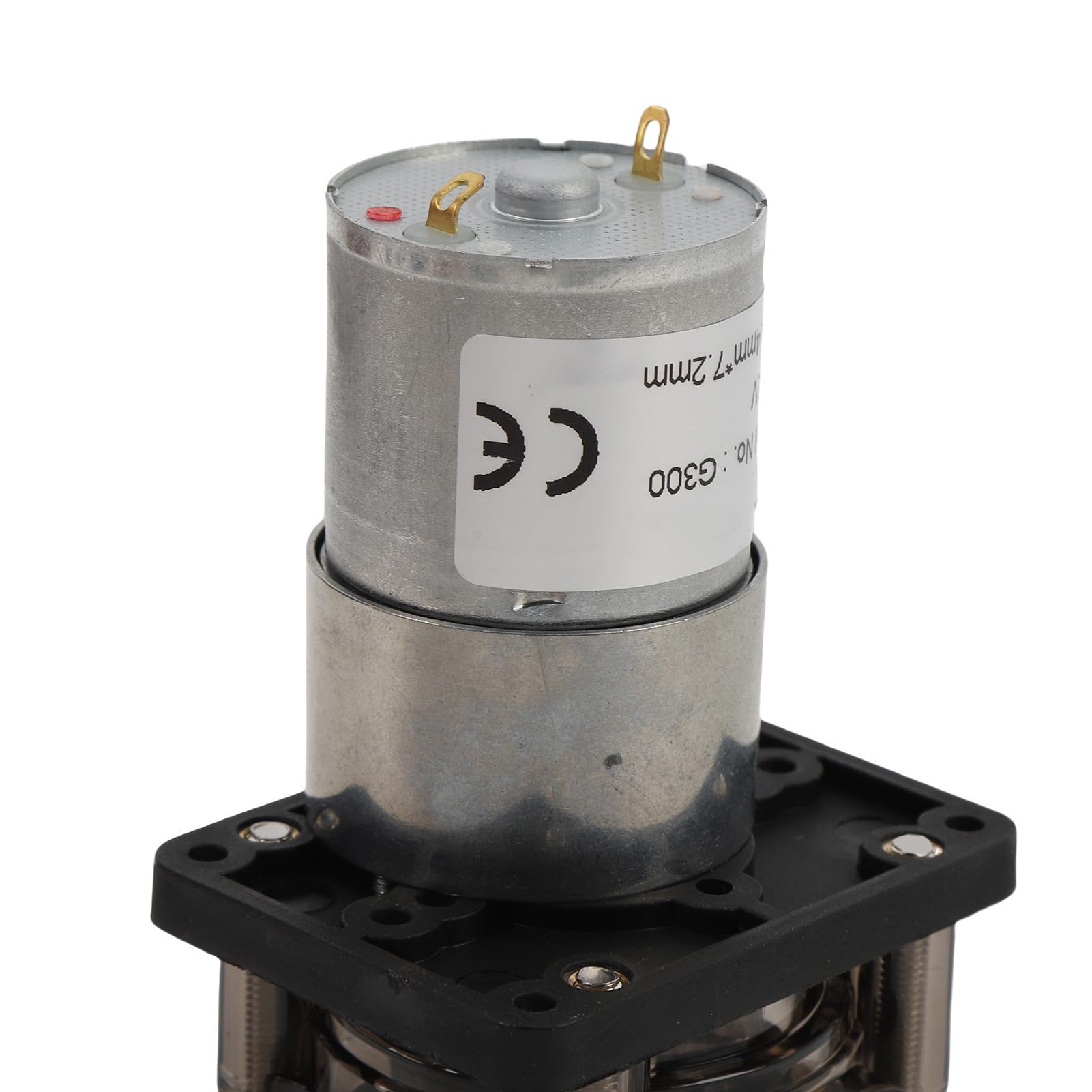 Bewinner Pompe Péristaltique 300 Ml/min, Pompe Doseuse de Liquide à Moteur brossé DC avec Tube en Silicone pour Applications d'aquarium, de Laboratoire et Industrielles (12V)