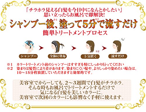 Shiraganese ナチュラルブラック ボタニカルカラートリートメント 本当に安全な白髪染め＆安全なシャンプー【シラガネーゼトリートメント】