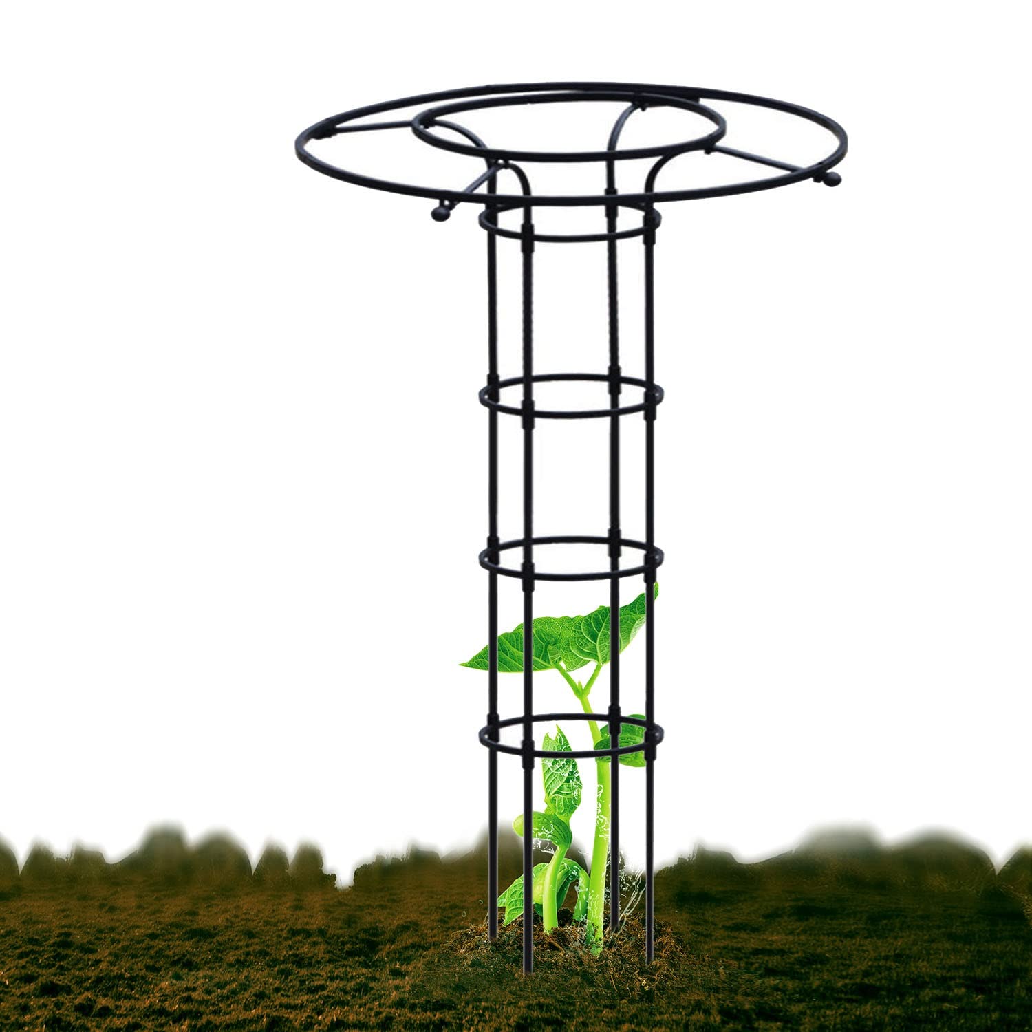 Ou Obelisk do roślin pnących, metalowa krata, 120 cm, do użytku wewnątrz i na zewnątrz, odporny na rdzę uchwyt na kwiaty i warzywa, kolor czarny, idealny do winorośli i owoców