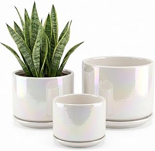 EFISPSS Plant Pots, 4+5+6 Inch Pots for Indoor Plants,Ceramic Planter Po...