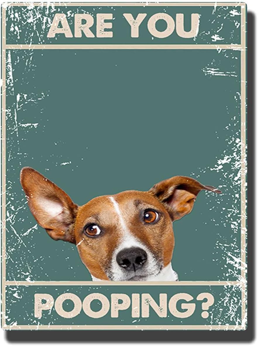 Asbwuo Dog Signage 2 Retro Tin Sign Funny Dog Are You Pooping Signs, Funny Tin Signs Bathroom Restroom Wall Toilet Decor 12X8 Inch