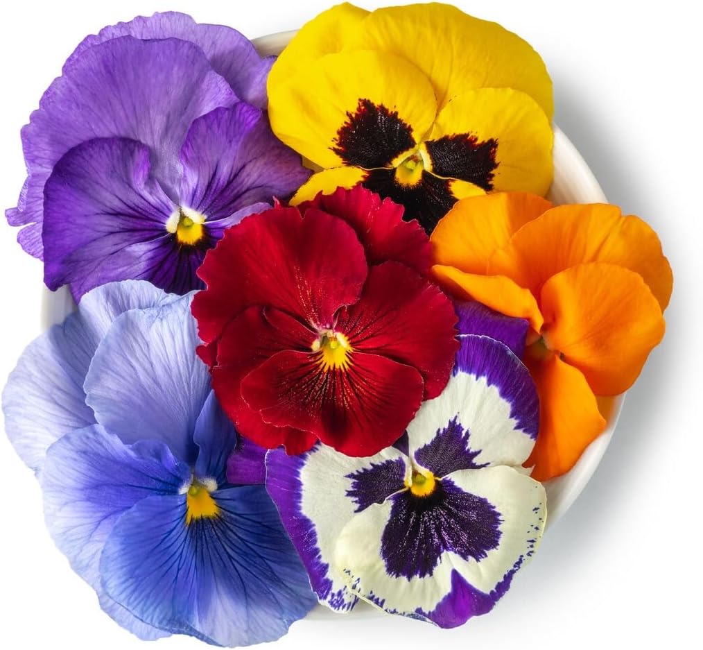 Fresh Origins Edible Pansy Flowers - Vibrant Tangy Blossoms for Gourmet Garnishes - 4 x 50 Count