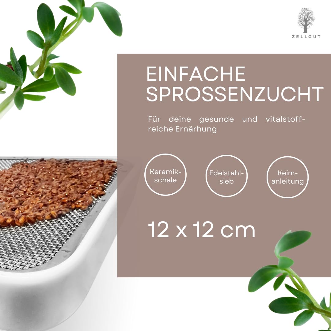 Kressesieb, Kresse Anzuchtschale, Keimschale - 12cm - Keramikschale + Edelstahlsieb - Keimgerät für die Anzucht von Microgreens, Keimsaaten