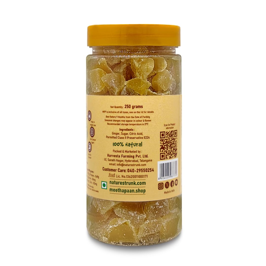 Nature's Trunk Ginger Cubes | 250g | 100% Natural Ginger Candy | Aadrak Ki Barfi | Spicy Sweet Digestive Snack | Helps Nausea | Enhance Immunity | No Preservatives | No Additives - Image 3 thumbnail