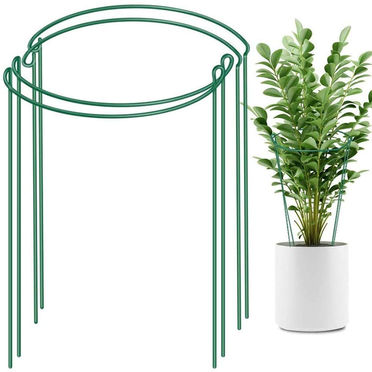 KKSTY Garden Plant Support Stakes, Half Round Metal Plant Support Ring Cage for Peonies Rose Lily Tomatoes Vegetables (25x40)