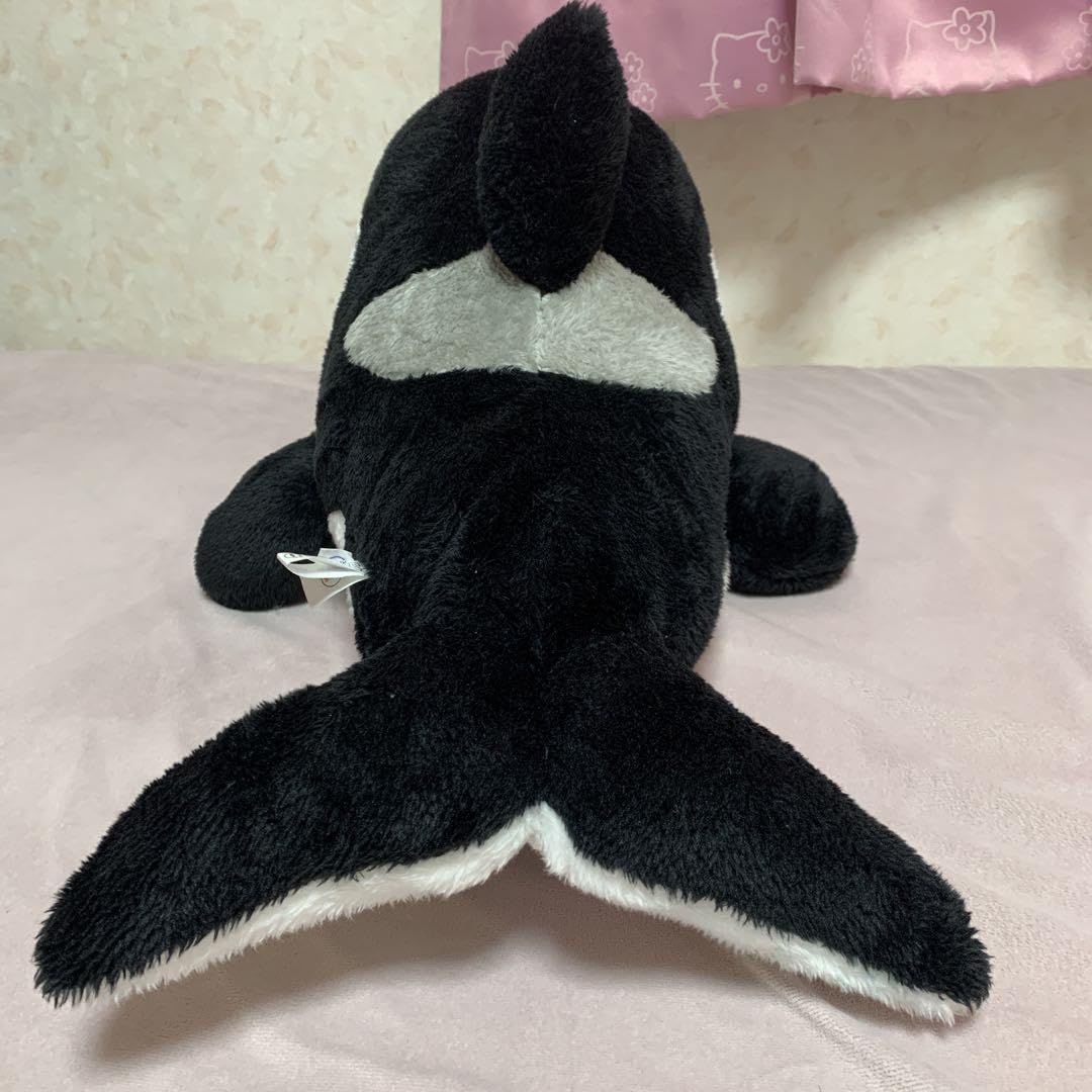 Amazon.co.jp: 鴨川シーワールド シャチくじのぬいぐるみ 約30cm 3等