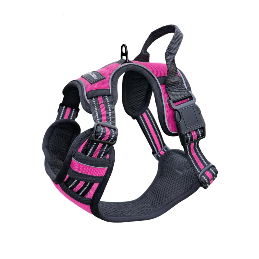 Farleys&Co Signum Dog Harness, Weather-Resistant, Anti-Pull System