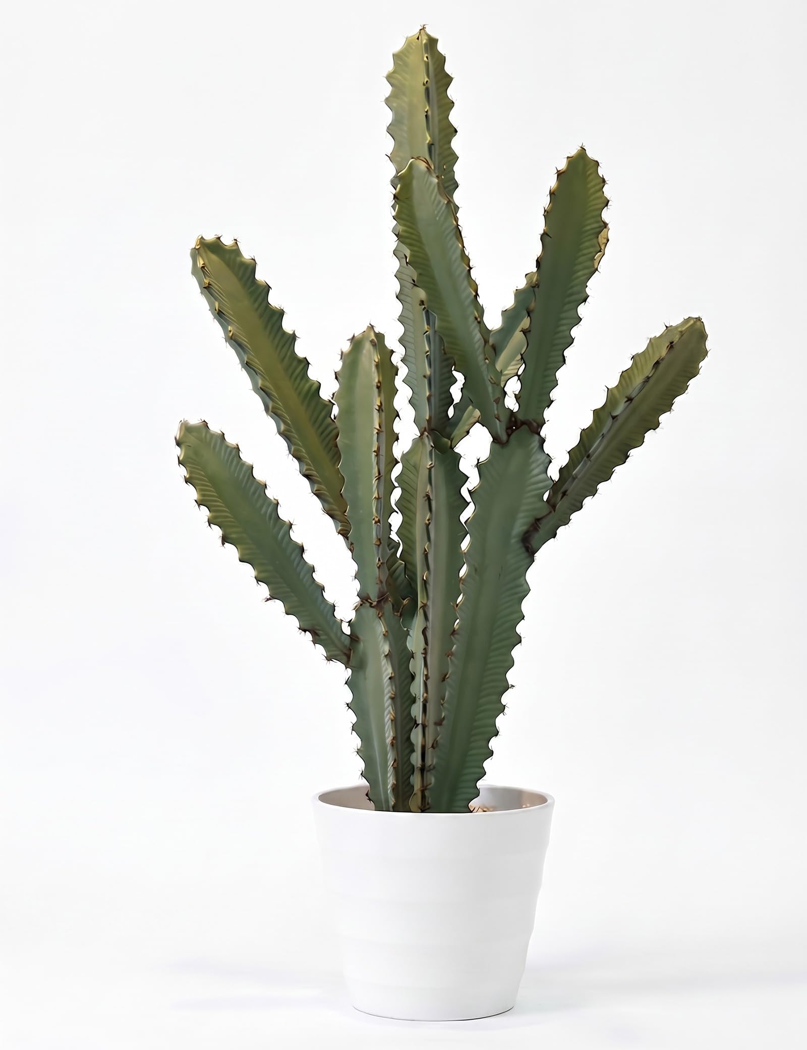 �️YANPLS Fake Cactus Large Artificial Saguaro Potted Floor Plant for Desert