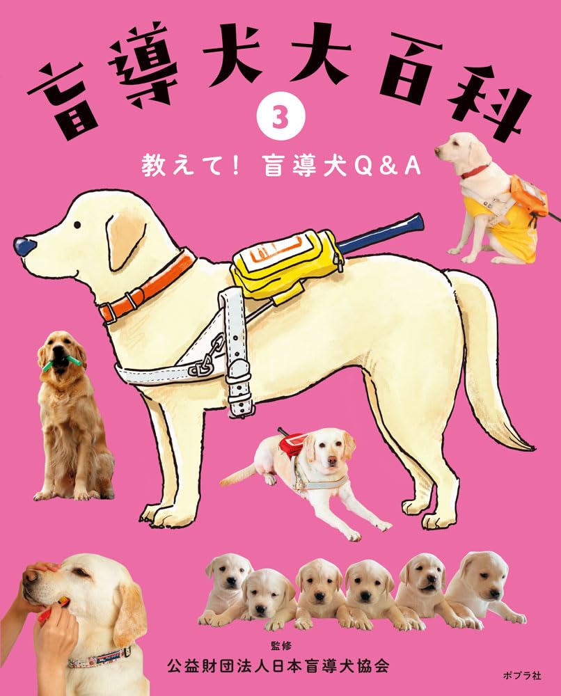 【中古】 ぼくのあだ名は盲どう犬 61WtKIK02hL.jpg