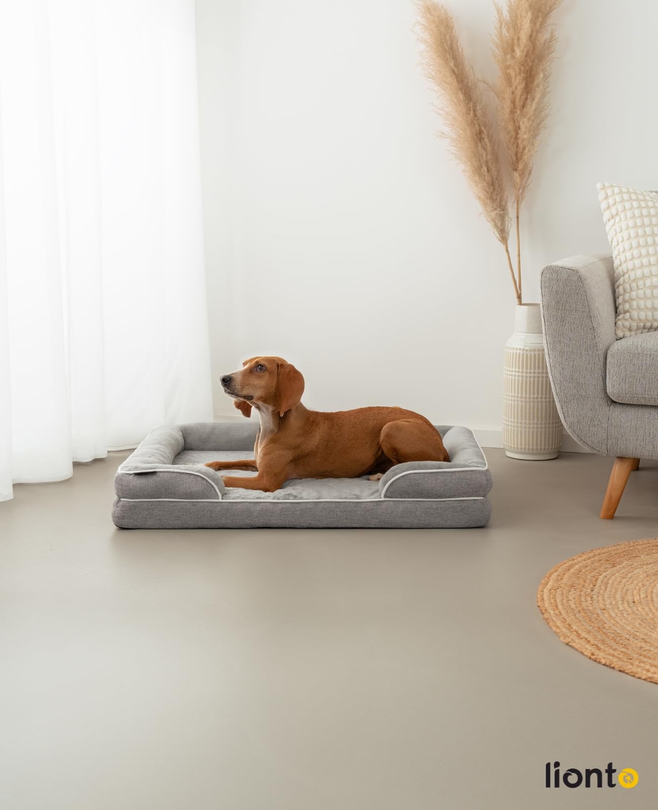 lionto Cama ortopédica para Perros con Borde Elevado, 97x71x17 cm, Cojín Resistente con Suave Franela, Funda extraíble y Lavable, Antideslizante, Apta para Perros Grandes, pequeños y Gatos, Gris