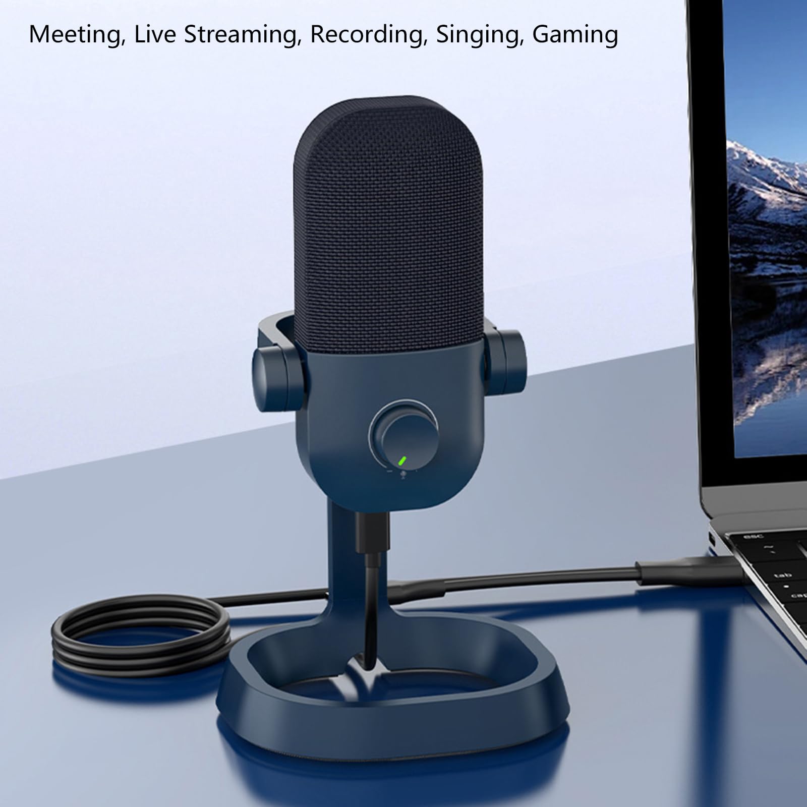 Microfono a condensatore portatile da studio con risposta in frequenza 20Hz 20kHz e cancellazione del rumore Streaming Pickup