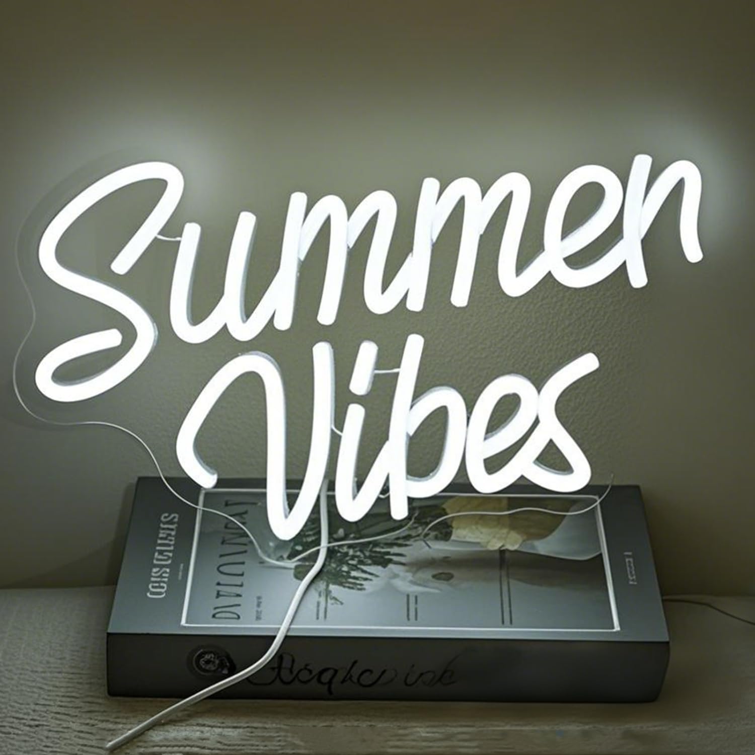 HFHungkeong Summer Neon Light Sign Summer Vibes Neon Sign for Bedroom Bar Party Dorm Wall Art Decor,5V USB Powered Acrylic Neon Signs with Dimmable Switch and Hanging Chain(12.9x11.8Inches)