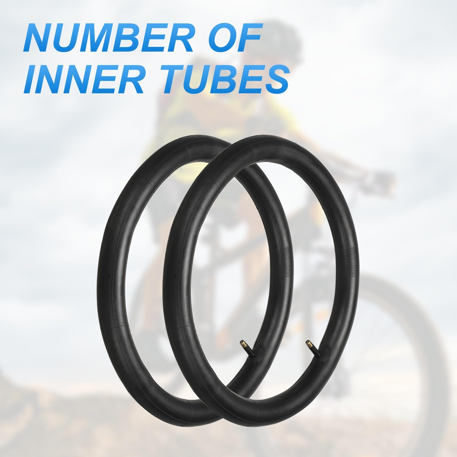 View 3