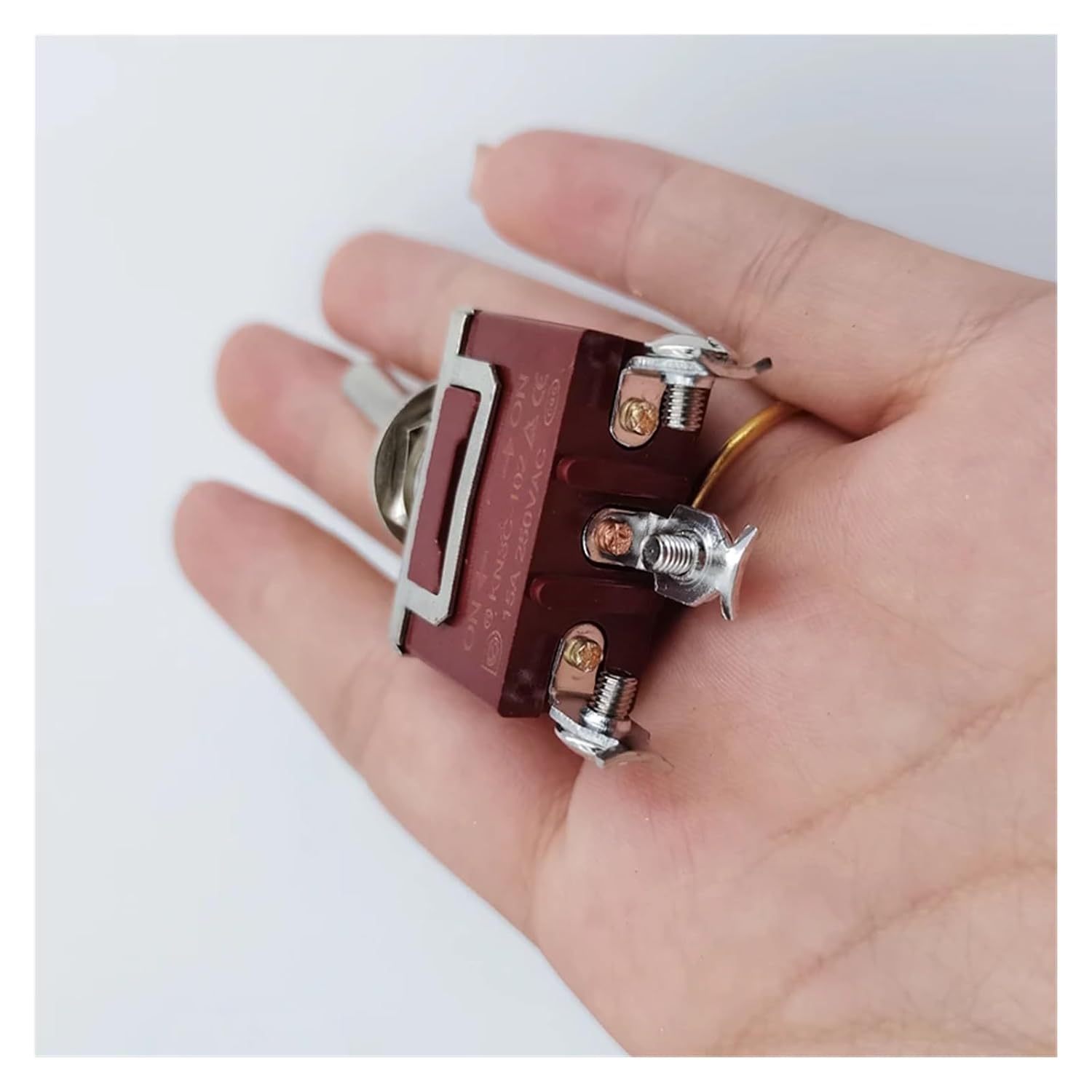 モモンガポーチ4点 モモンガポーチフクモモなかよしポーチサンコー