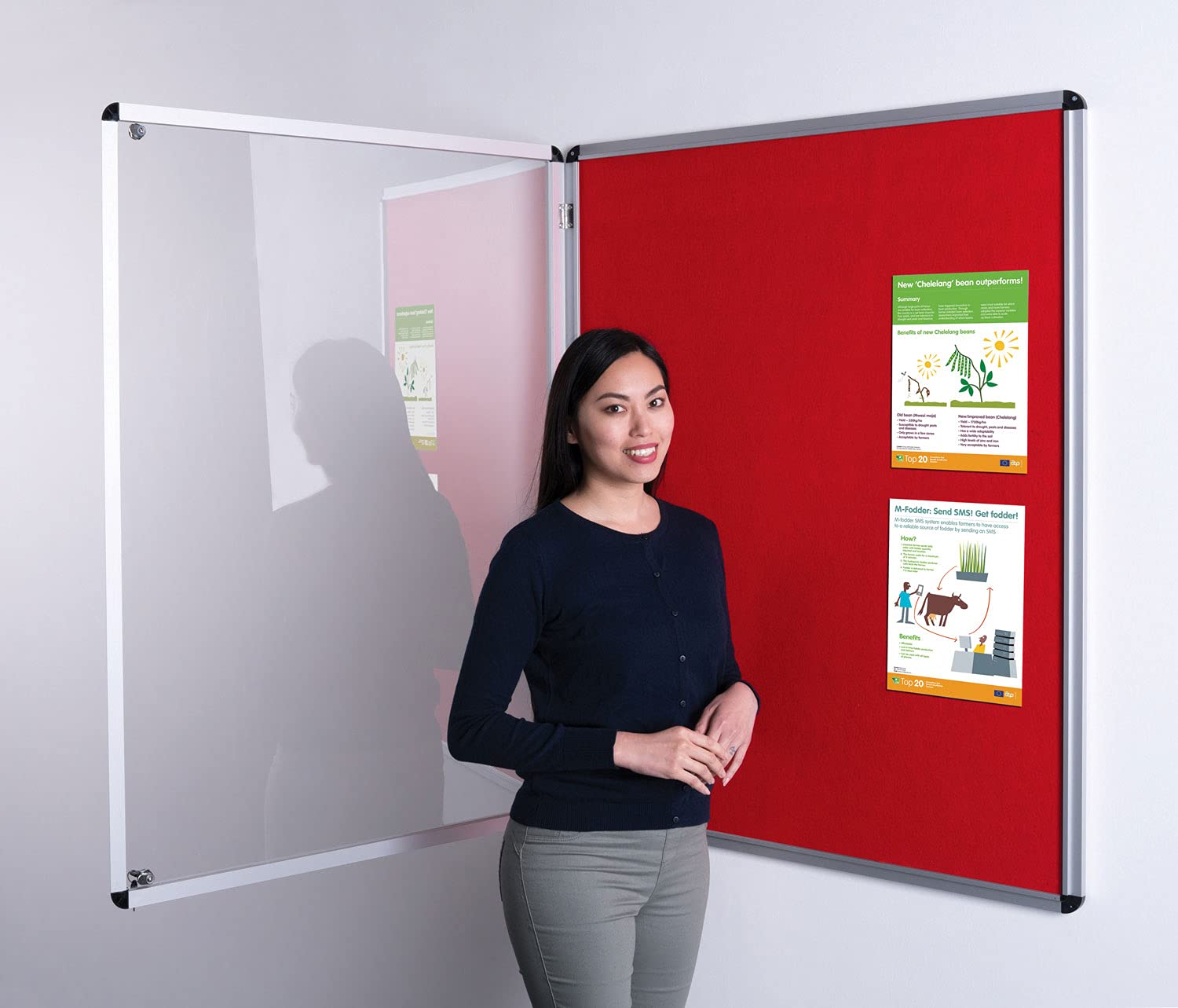 Wonderwall Classic Tamperproof Lockable Noticeboard, 120 x 90 cm, Red Pinboard, Aluminium Frame with 2 Matching Locks and Keys, 12 Colours to Choose from, Ideal for Office, School Displays โ image 1