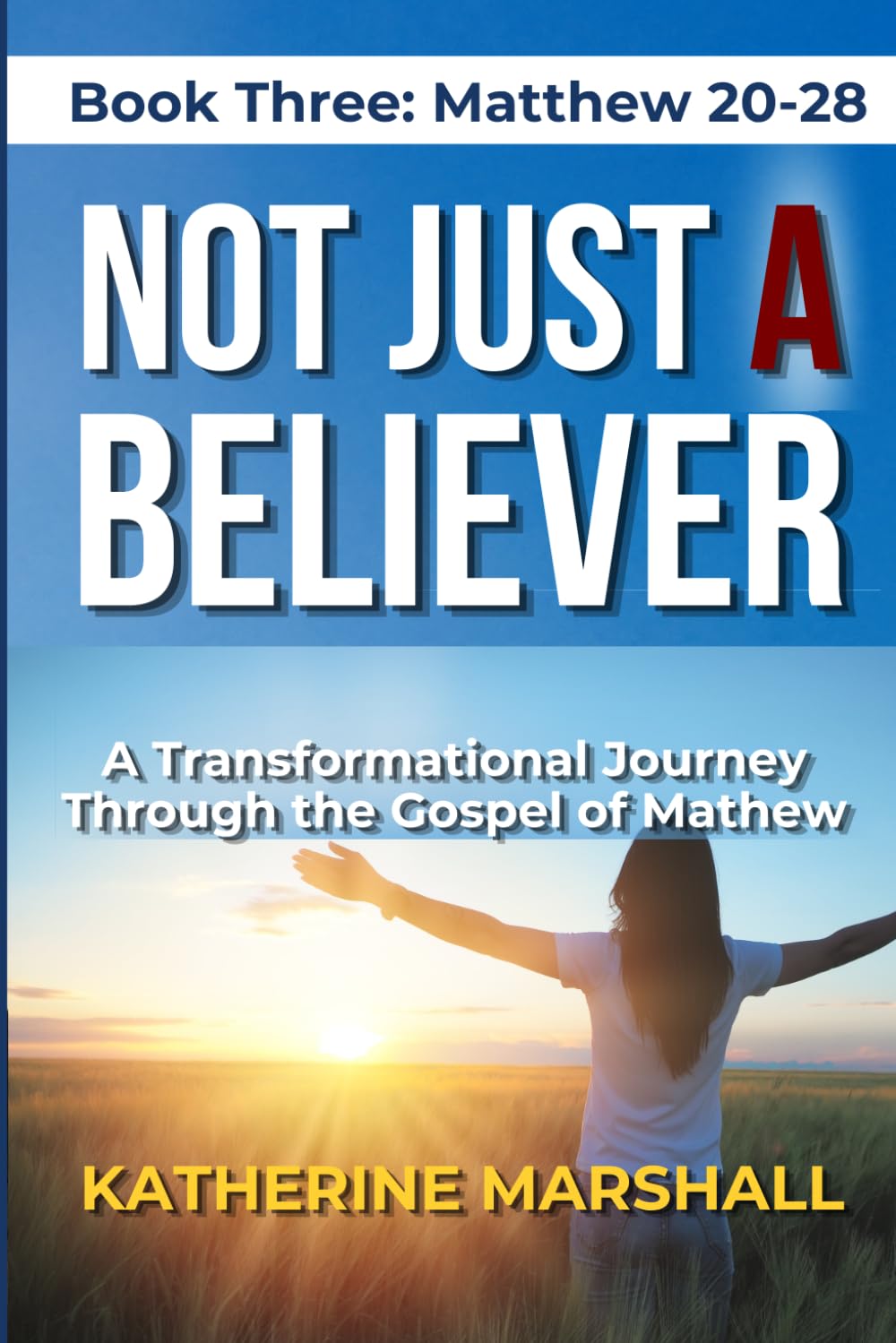Not Just A Believer: A Transformational Journey Through the Gospel of Matthew Book Three: 3