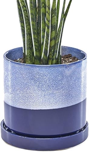 Miniatura 45 de CHIVE Macetas de cerámica para suculentas 'Minute', macetas de 5 pulgadas para cactus y flores de interior con drenaje y platillo desmontable, verde