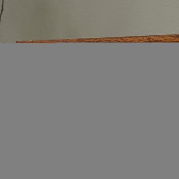 Sauder Carson Forge Rustic Vintage Computer Desk with Drawers Storage, in Washington Cherry finish