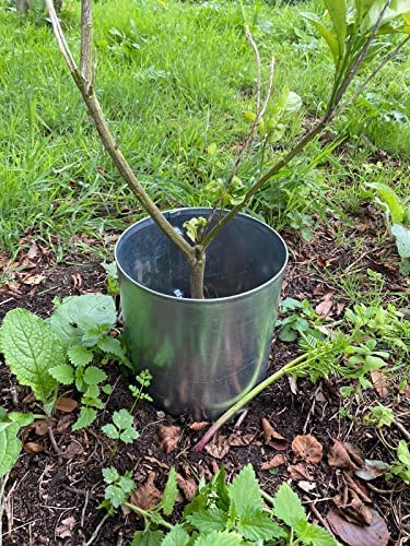 Protection pour arbres Ø250 en acier galvanisé de haute résistance (lot de 5) - 2