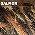 VANESSA Synthetic Full Wig - CALI (#SALMON)