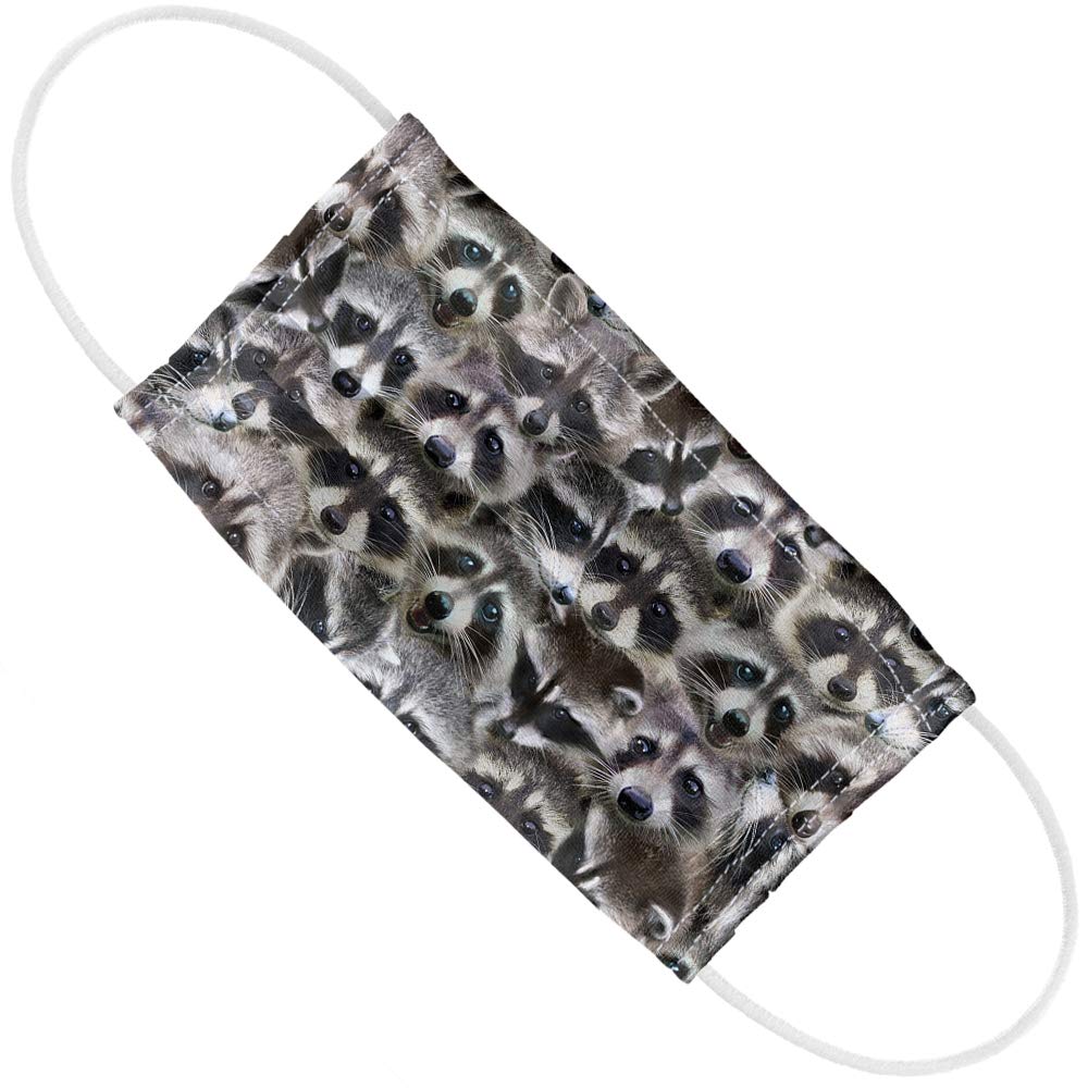 Racoons 1-Ply Reusable Face Mask Covering with Adjustable Nose Wire, Unisex