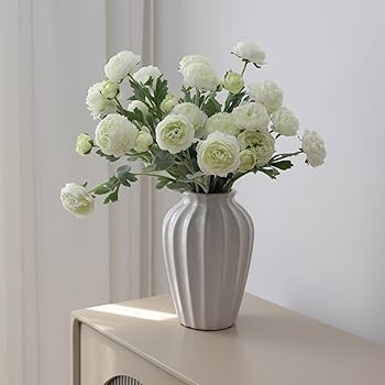 61WtwtObrcL._AC_UF350, 61WtwtObrcL._AC_UF350,