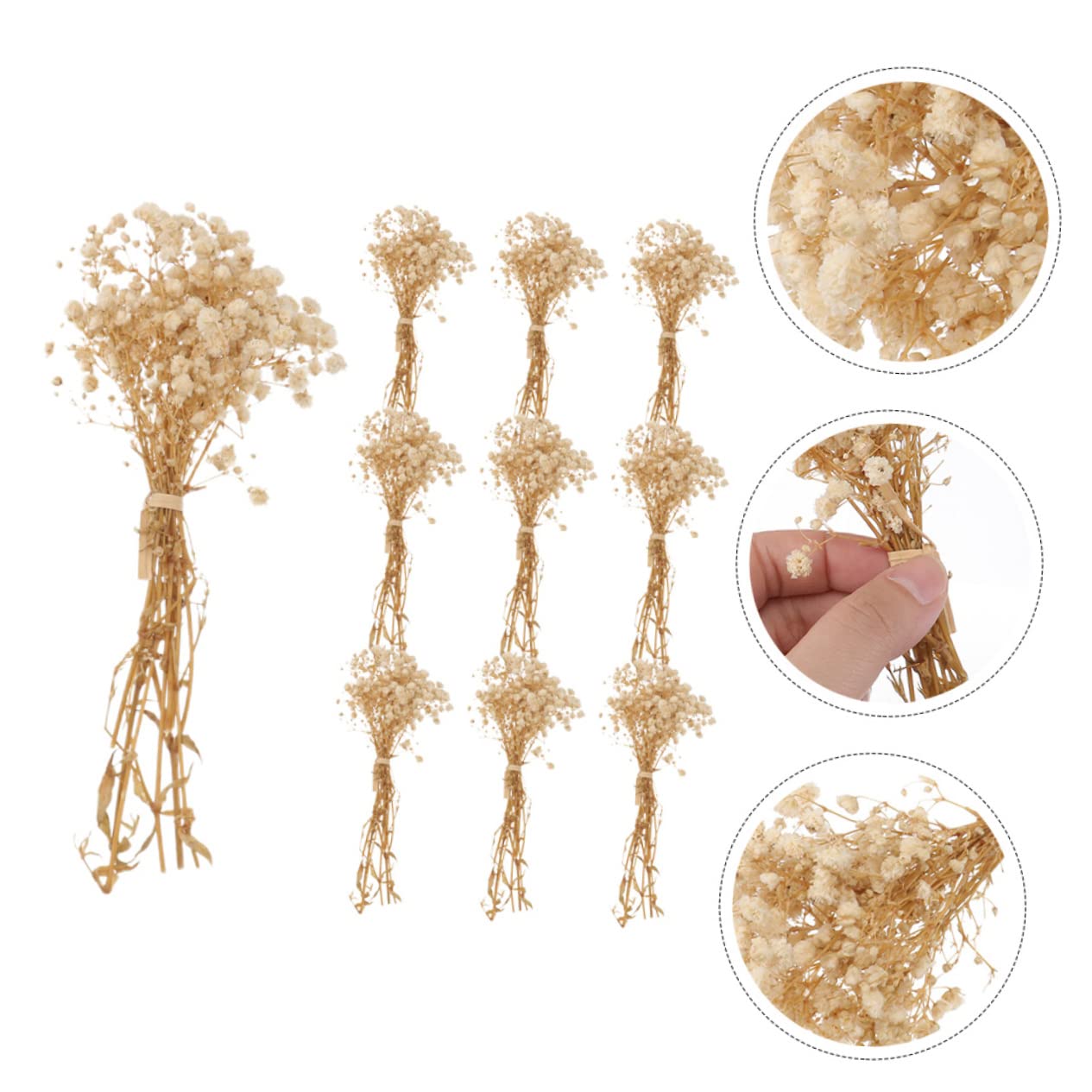 Abaodam 4pièces Bouquets De Fleurs Séchées De Gypsophile Petits Arrangements Floraux Décoratifs pour Mariage Et Décoration Intérieur sans Entretien Hauteur
