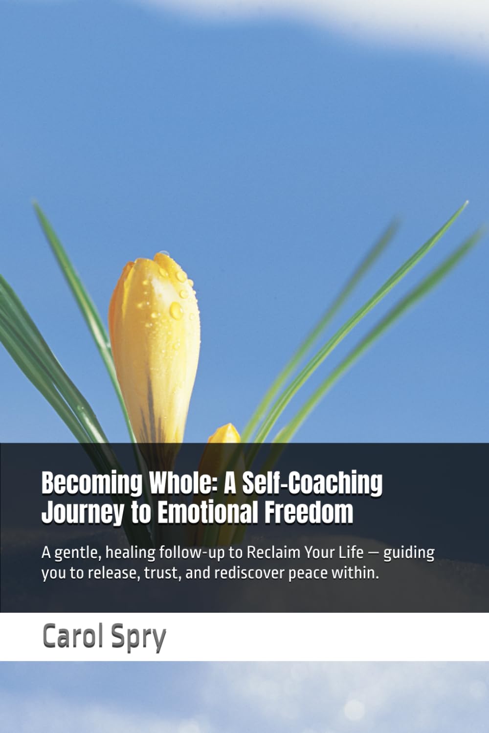 Becoming Whole: A Self-Coaching Journey to Emotional Freedom: A gentle, healing follow-up to Reclaim Your Life — guiding you to release, trust, and rediscover peace within.