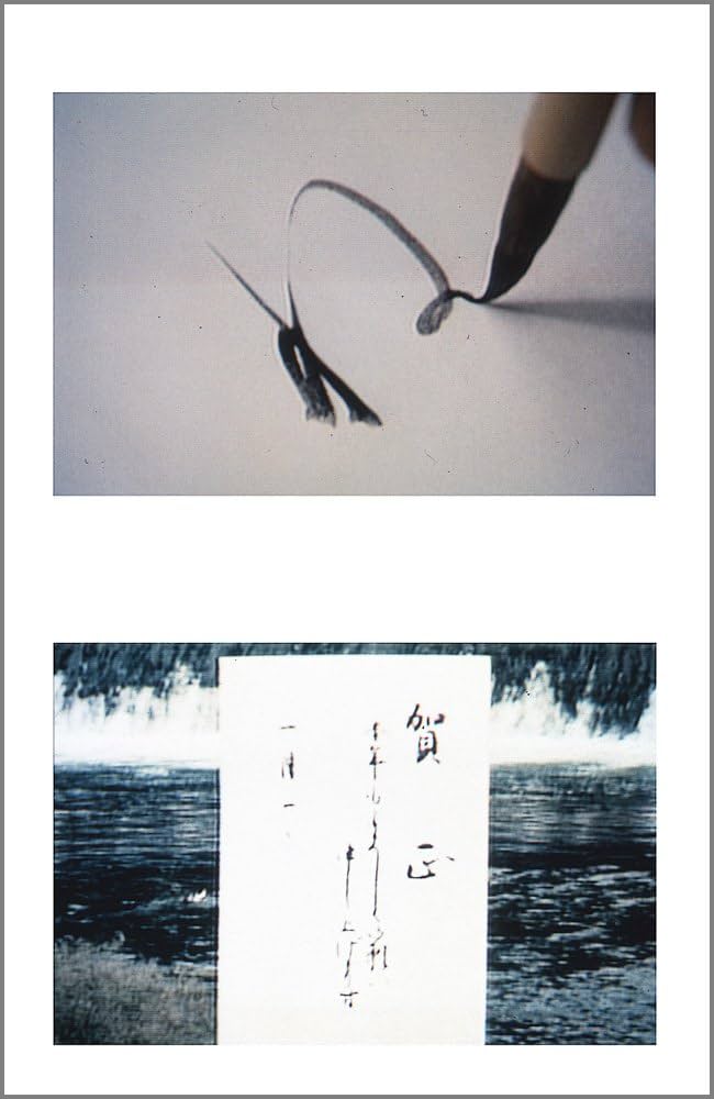 かなのレッスン特別セット 入門編 (DVD+テキスト) | 村上 翠亭 |本