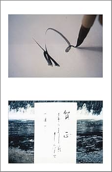 かなのレッスン特別セット 入門編 村上翠亭 かなのレッスン特別セット 入門編 中古本・書籍 | ブックオフ