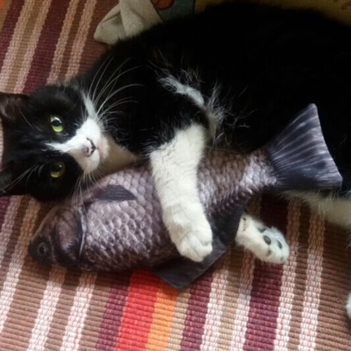 Operitacx 8pièces Trousse à Crayons Forme De Poisson Étui à Stylo Amusant Capacité Sac De Rangement Créatif pour Jouet pour Chats Lot