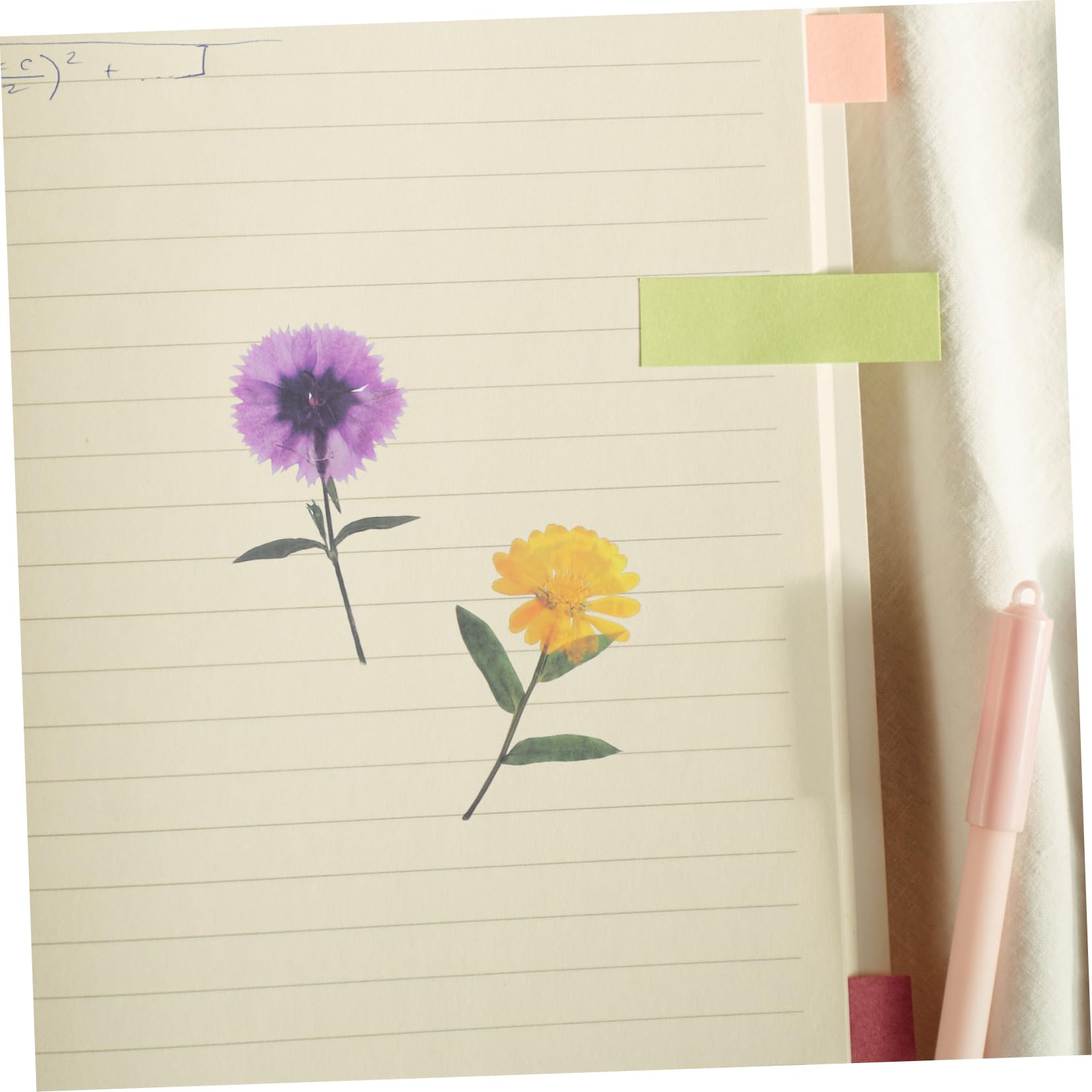 DOITOOL Pegatinas Decorativas De Flores Secas Pack De Estilo Para Scrapbooking Y Manualidades Adornos Estéticos Para Álbumes Y Proyectos 6 Paquetes*4