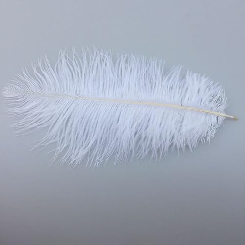 Miniatura 2 de Sowder 50 plumas de avestruz naturales de 8-10 pulgadas (7.9-9.8in), decoración del hogar y boda (blanco)