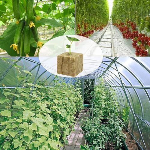 WANYIG Steinwolle Anzucht, Steinwolle Dämmung, Steinwolle Würfel Anzuchtmatte Steinwolle mit Schere ＆Handschuhe fur Stecklingen, Bodenloser Anbau, Hydrokultur Umpflanzen (2.5 x 2.5 x 2.5cm) (50 STK)