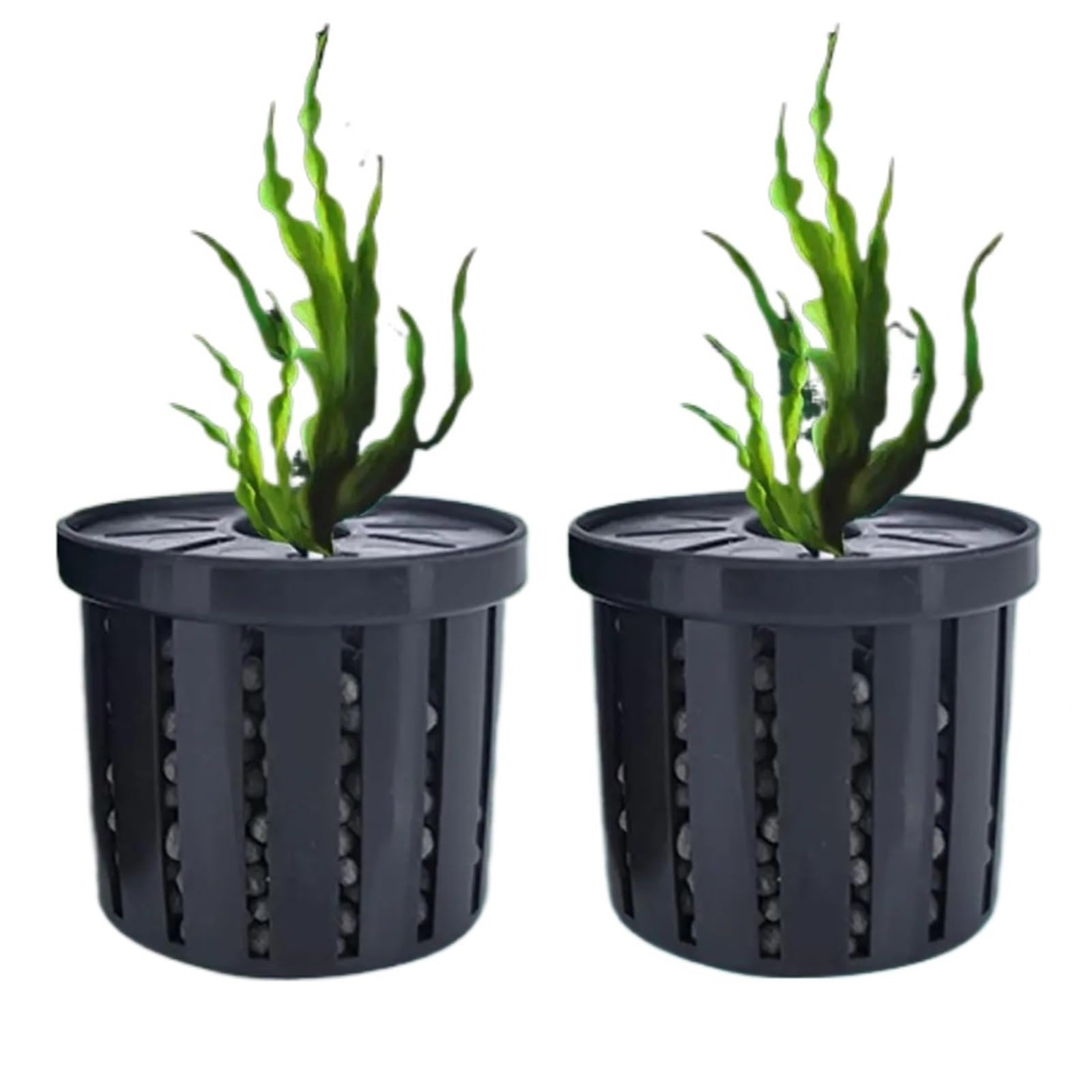 Pots de plantes hydroponiques pour aquarium afin de créer un véritable jardin aquatique suspendu