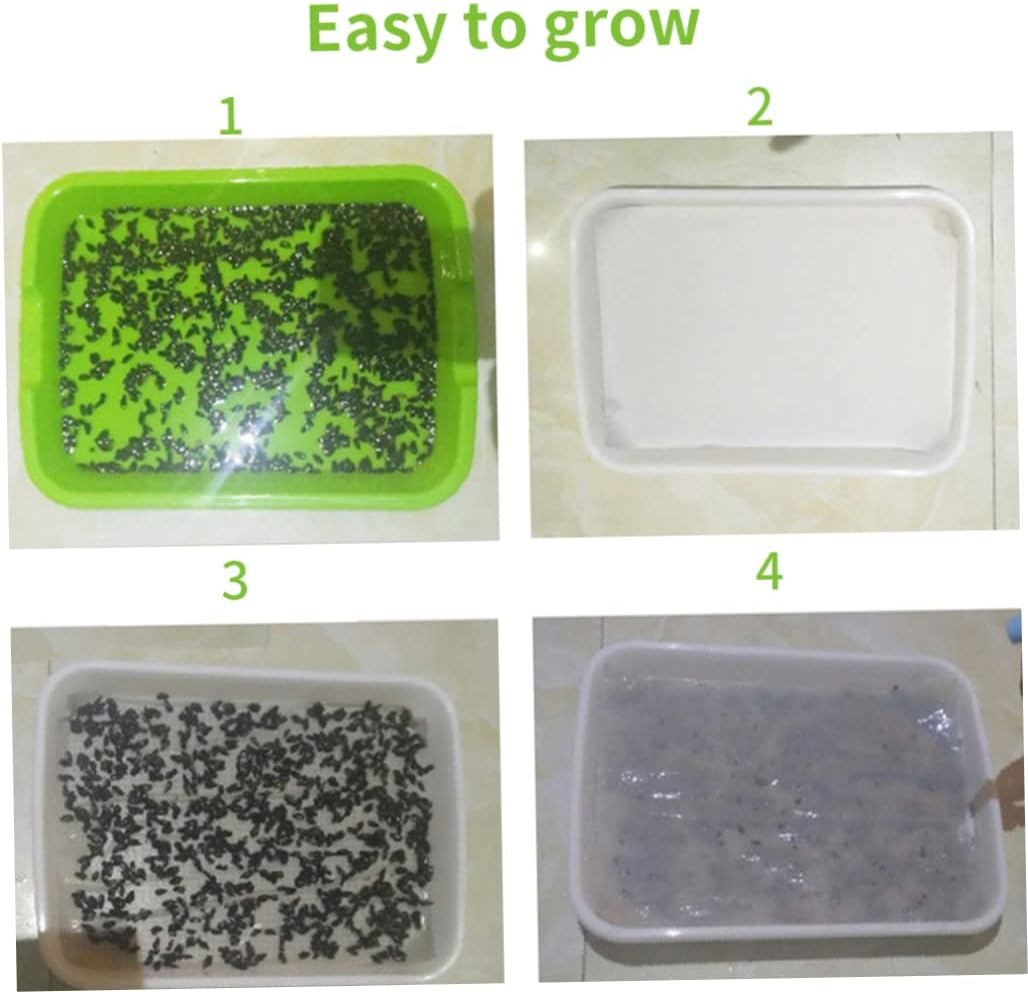 Beito Seed Paper Plantable Paper Germinating Paper Seed Paper Sheets Seed Sprouter Paper for Garden Farm Plant Germination Tray Vegetable Planting 150PCS : Patio, Lawn & Garden