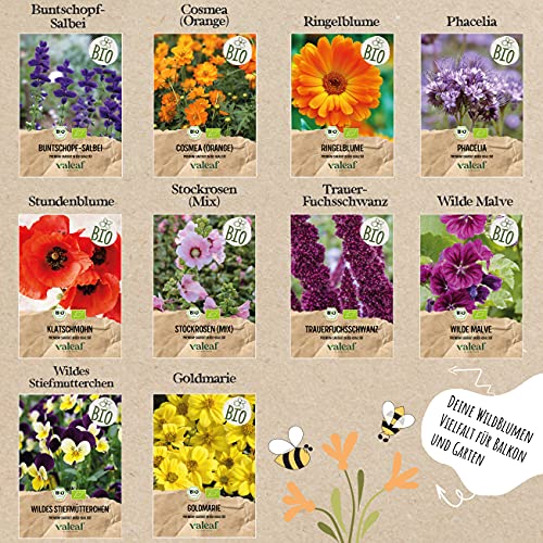 valeaf BIO Wilde Blumen Samen Set I 10 Sorten bienenfreundliche Blumensamen I Premium BIO Samen Blumen I Wildblumen… – Bild 4