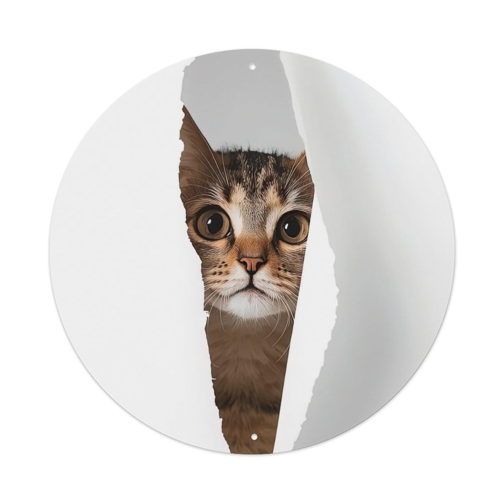 Cwbufd Vintage Style Animal Tabby Cat Funny 3D Illusion Cute Curious Pet Vintage Metal Tin Sign Plaque Wall Decor For Cafe, Club Bar, Office, Garden Metal Poster 8X8inch
