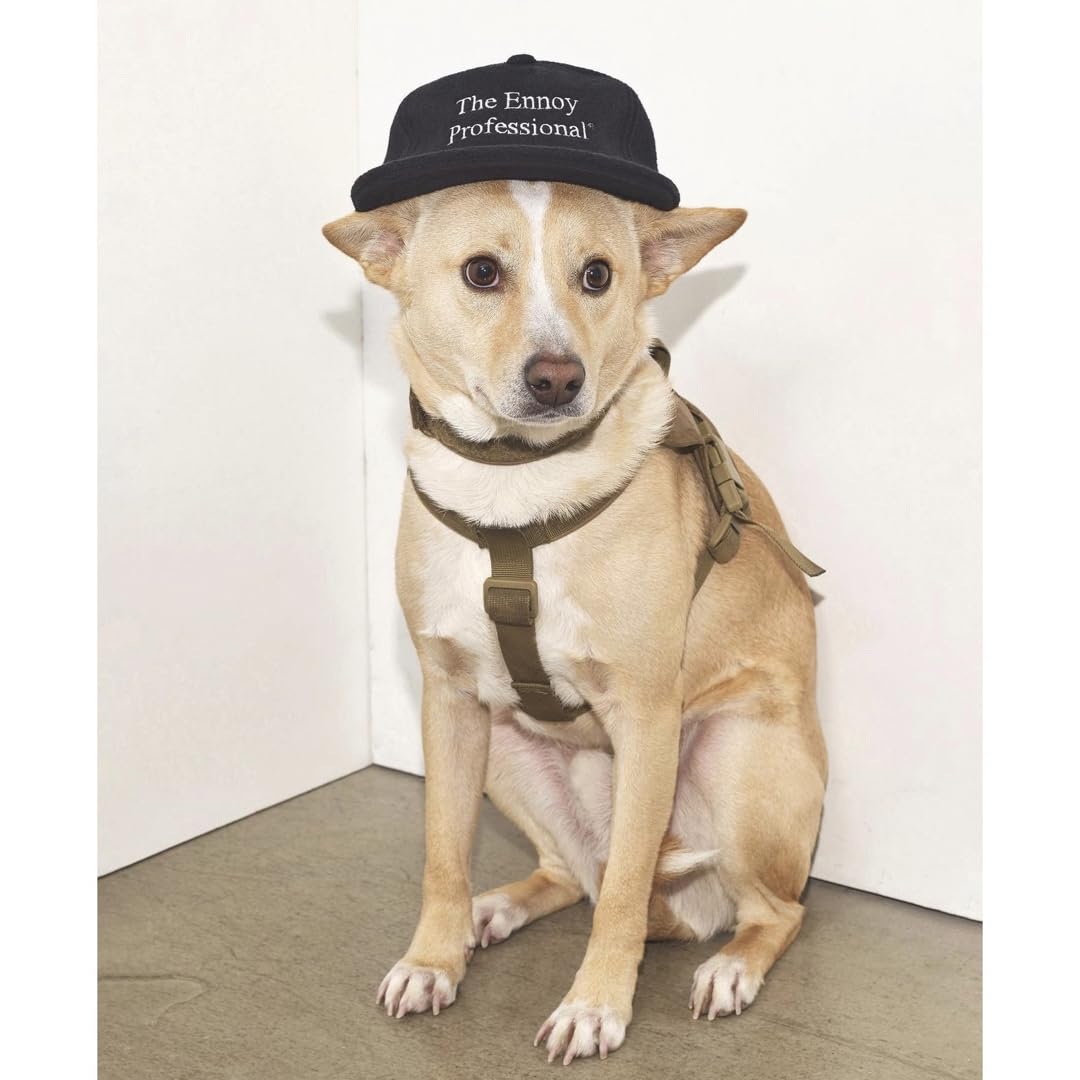 Amazon.co.jp: Ennoy cap : Home & Kitchen