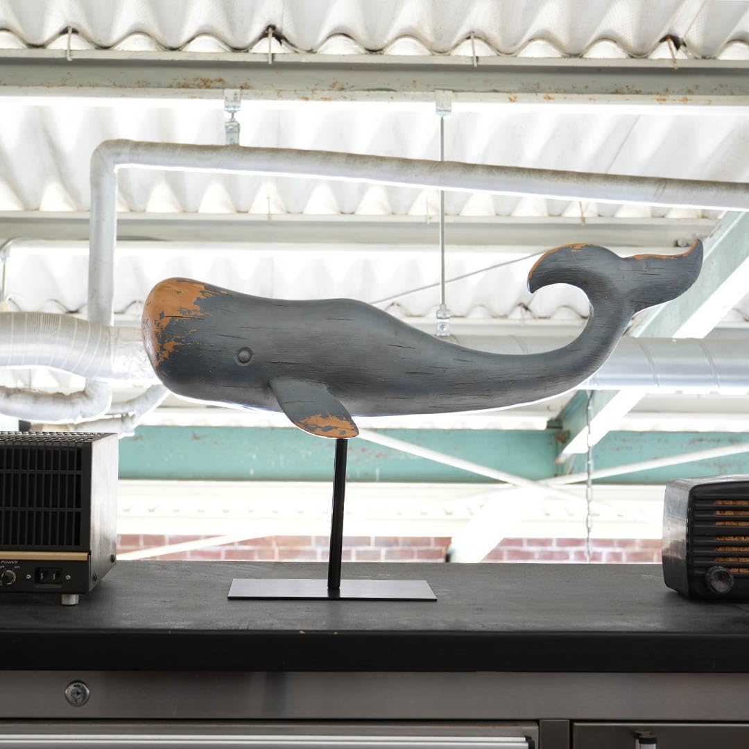 DULTON THE BLUE WHALE DULTON THE BLUE WHALE Blue whale | Length, Weight, \u0026 Facts