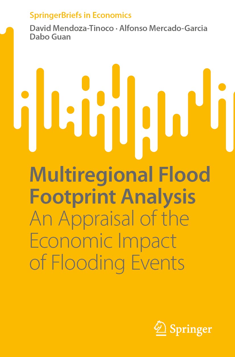 Buy Multiregional Flood Footprint Analysis: An Appraisal of the Economic Impact of Flooding Events (SpringerBriefs in Economics) — BookShops.in