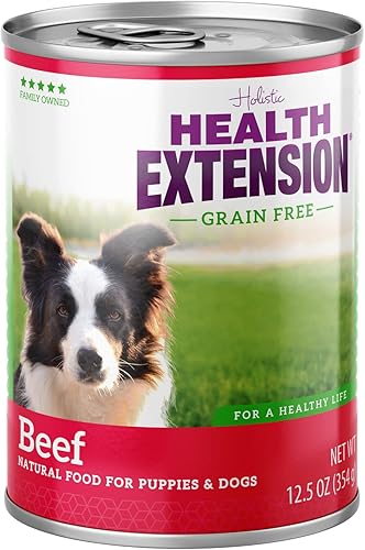 Health Extension Comida húmeda para perros, sin gluten ni granos, alimentos naturales saludables enlatados para cachorros, receta de pollo