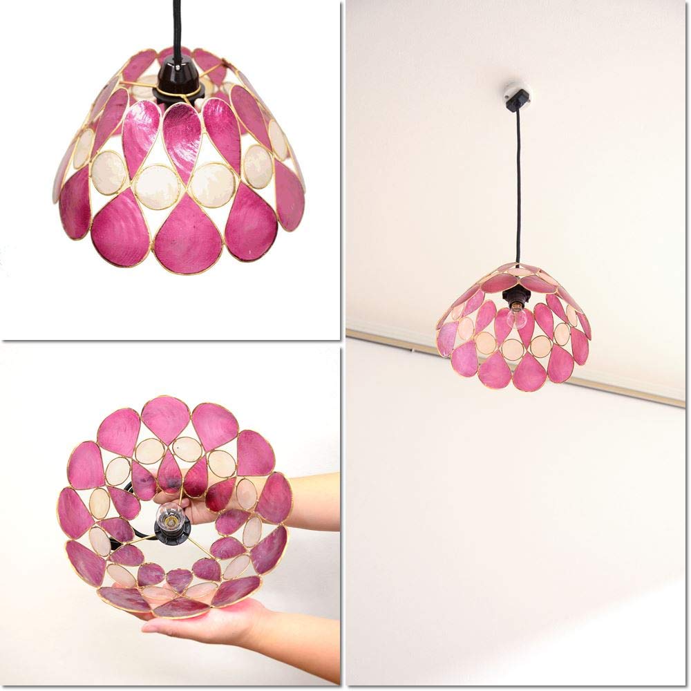 Amazon.co.jp : MANJA SLA-0006-PK （E17/LED電球標準）カピス貝