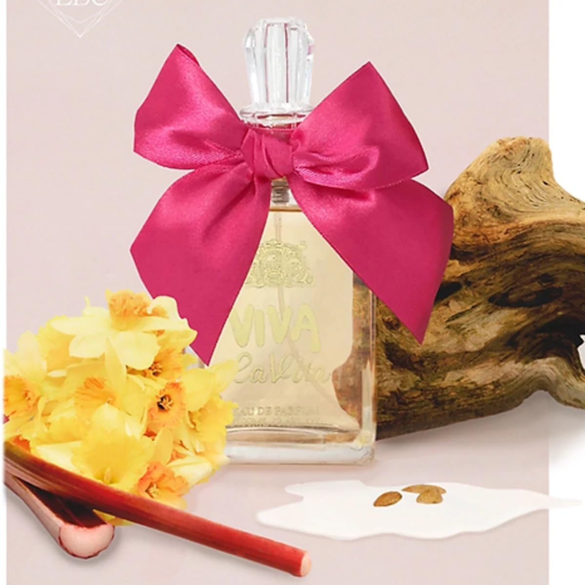 Amazon.com : EBC Collection, Viva La Vita Perfume for Women, 3.4oz