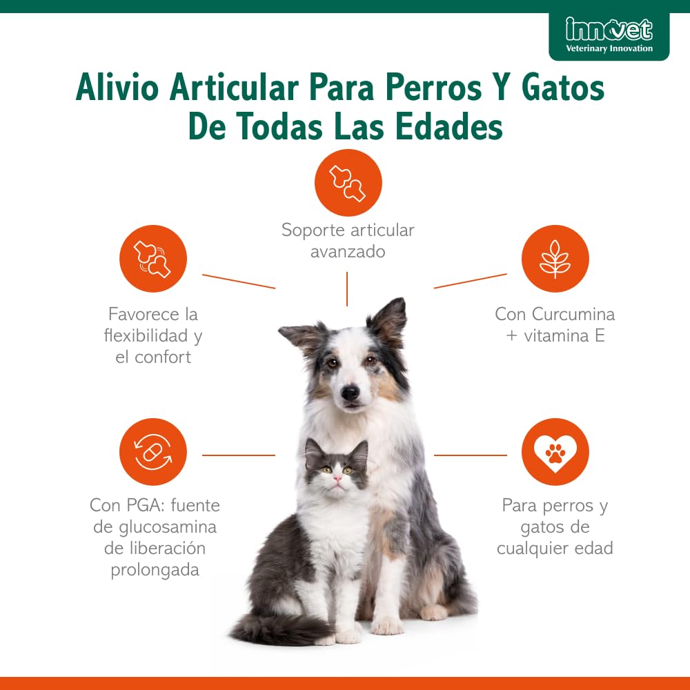 Innovet Glupacur Suplemento para Las Articulaciones de Perros y Gatos 200 Comprimidos – Apoyo Avanzado para la Movilidad con PGA, Curcumina y Vitamina E – Mejora Articulaciones Perro y Gato