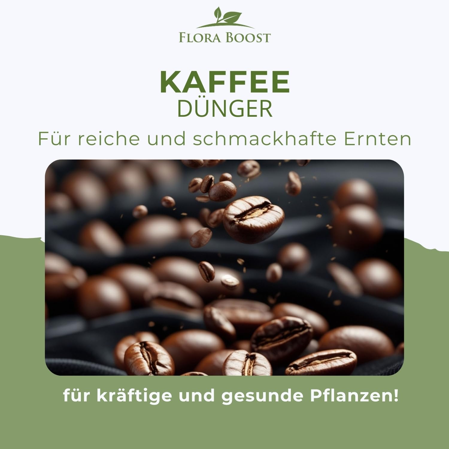 Konfitee Kaffee Pflanzen Dünger Flora Boost 5000ml I Für bis zu 1000L Gießwasser I Dünger für Kaffeesträucher I Flüssiger Blatt- & Wurzeldünger I 100% natürlicher Pflanzendünger