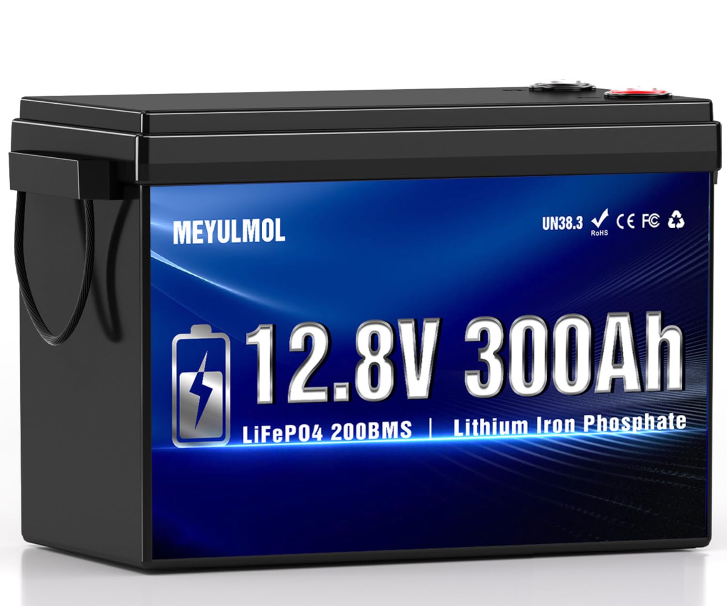 MEYULMOL 12V 300Ah LiFePO4 Battery
